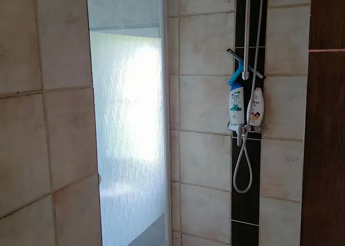 Les Papillons Roses 3* Chasnais